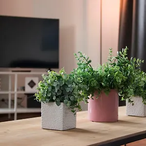  Appartement Smartflats - High Street België